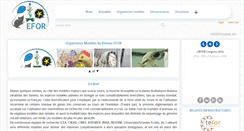 Desktop Screenshot of efor.fr