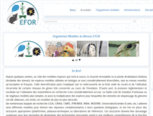 Tablet Screenshot of efor.fr